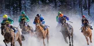 The Secrets to Effective Racehorse Training