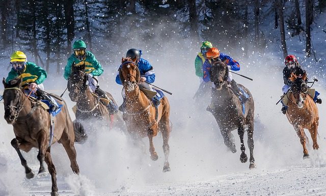 The Secrets to Effective Racehorse Training