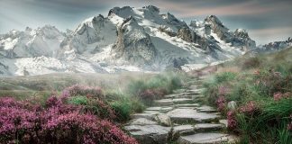 Hiking, Camping and Rock climbing