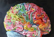 How Preschool Memory Training Programs Support Cognitive Growth with The Umonics Method How Preschool Memory Training Programs Support Cognitive Growth with The Umonics Method